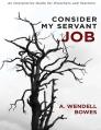  Consider My Servant Job: An Interpretive Guide for Preachers and Teachers 