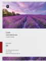  Faith Connections Adult Leader's Guide (June/July/August 2025) 
