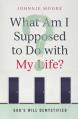  What Am I Supposed to Do W My: God's Will Demystified 