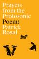  Prayers from the Photosonic: Poems 
