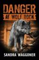  Danger at Wolf Rock 