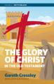  The Glory of Christ in the Old Testament: Job to Malachi 
