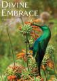  DIVINE EMBRACE New, 30 Chapter, 458page Revised Edition 