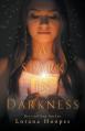  A Spark in Darkness 