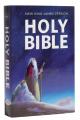  NKJV Children's Outreach Bible 