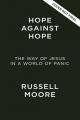  Hope Against Hope: The Way of Jesus in a World of Panic 
