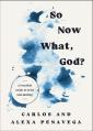  So Now What, God?: A Practical Guide to Grief and Healing 