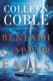  Beneath Copper Falls 