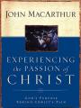  Experiencing the Passion of Christ: God's Purpose Behind Christ's Pain 