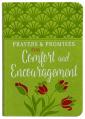  Prayers & Promises for Comfort and Encouragement 