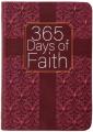  365 Days of Faith 