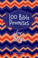  100 Bible Promises for Boys: Pocketbooks by Broadstreet 