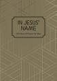  In Jesus' Name: 365 Days of Prayer for Men 