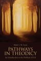  Pathways in Theodicy an Introduction to the Problem of Evil 