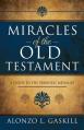  Miracles of the Old Testament: A Guide to the Symbolic Messages 