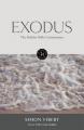  The Hodder Bible Commentary: Exodus 