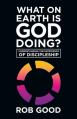  What on Earth Is God Doing?: Understanding the Experience of Discipleship 