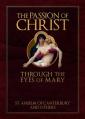  The Passion of Christ Through the Eyes of Mary 