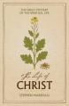  The Life of Christ: The Great Mystery of the Spiritual Life 
