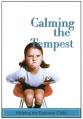  Calming the Tempest 