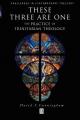  These Three Are One: The Practice of Trinitarian Theology the Practice of Trinitarian Theology 