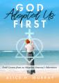  God Adopted Us First: Faith Lessons From an Adoption Attorney's Adventures 