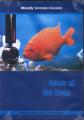 Voice of the Deep 