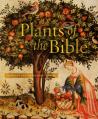  Plants of the Bible 