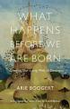  What Happens Before We Are Born: Creating Our Living Web of Destiny 