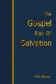  The Gospel Plan of Salvation 