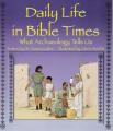  Daily Life in Bible Times: What Archaeology Can Tell Us 