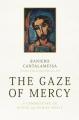  Gaze of Mercy: A Commentary on Divine and Human Mercy 