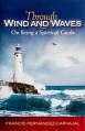 Through Wind and Waves: On Being a Spiritual Guide 