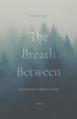  The Breath Between: An Invitation to Mystery and Joy 