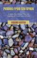  Pebbles from the Brook: Sermons for Children Fighting the Good Fight of Faith 