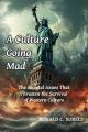  A Culture Going Mad 