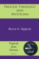 Process Theology and Mysticism 