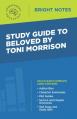  Study Guide to Beloved by Toni Morrison 