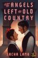  When the Angels Left the Old Country 