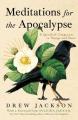  Meditations for the Apocalypse: A Spiritual Companion in Essays and Poems 