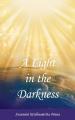  A Light in the Darkness 