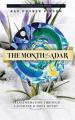  The Month of Adar: Transformation through Laughter and Holy Doubt 