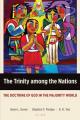  The Trinity among the Nations: The Doctrine of God in the Majority World 