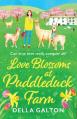  Love Blossoms at Puddleduck Farm 