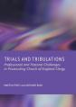  Trials and Tribulations: Professional and Pastoral Challenges in Prosecuting Church of England Clergy 