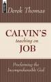  Calvin's Teaching on Job: Proclaiming the Incomprehensible God 