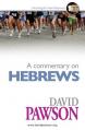  A Commentary on Hebrews 