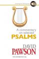  A Commentary on Selected Psalms 