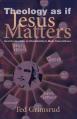  Theology as If Jesus Matters: An Introduction to Christianity's Main Convictions 