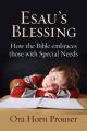  Esau's Blessing: How the Bible Embraces Those with Special Needs 
